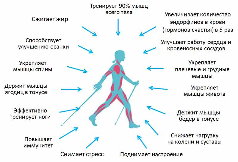 Преимущества ходьбы для здоровья тела